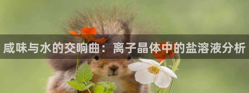 威九国际网站进入产品分类