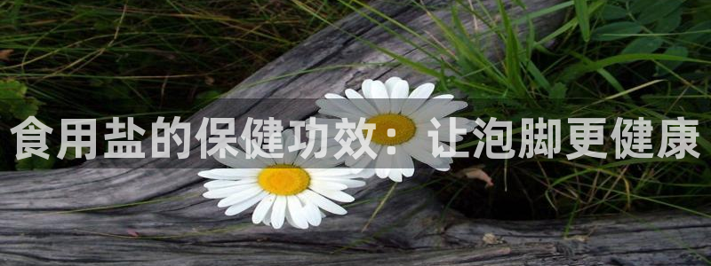 威九cp