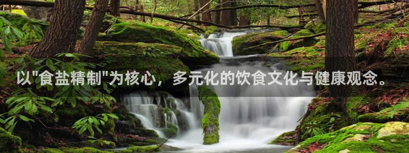 威九国际网站入口官网免费下载