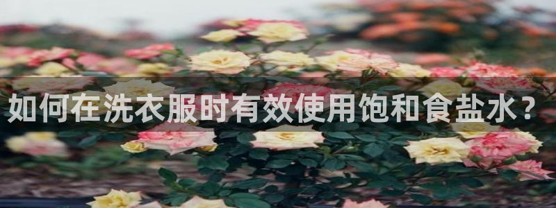 威九国际top