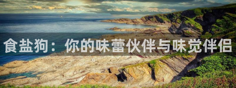 威九国际官方入口官网：食盐狗：你的味蕾伙伴与味觉伴侣