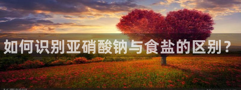 威九国际在哪里