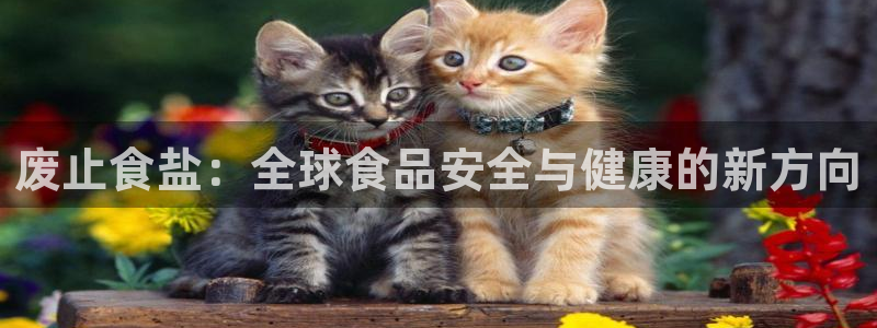 威九国际网站下载
