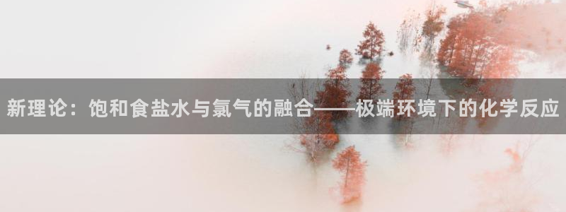 威九国际替好友去