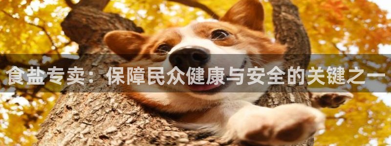 威九国际集团66m一6在线