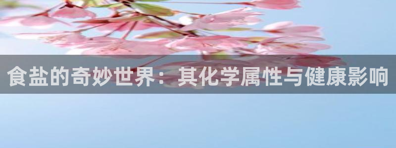 威九国际网站入口地址