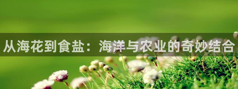 威九国际mm