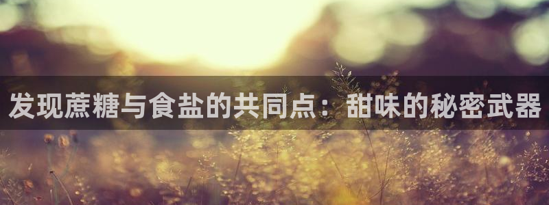 威九国际视频传媒招聘