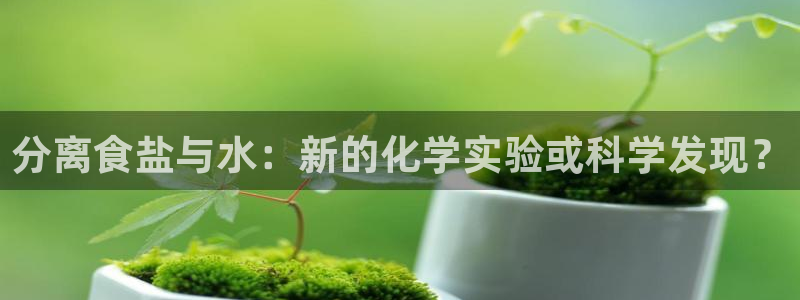 78.m威九国际官网版