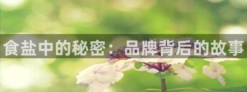 威九国际摩托电影HD