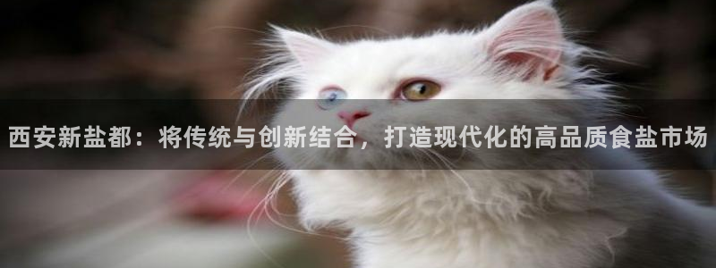 威九国际网站链接