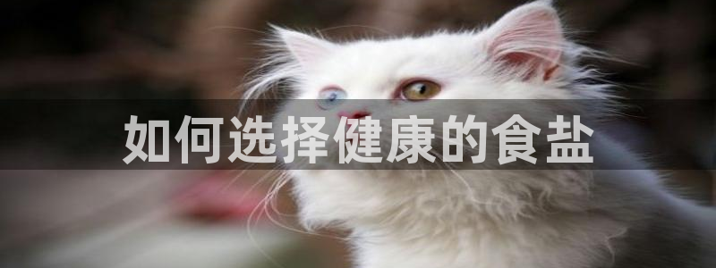 威九国际客服电话