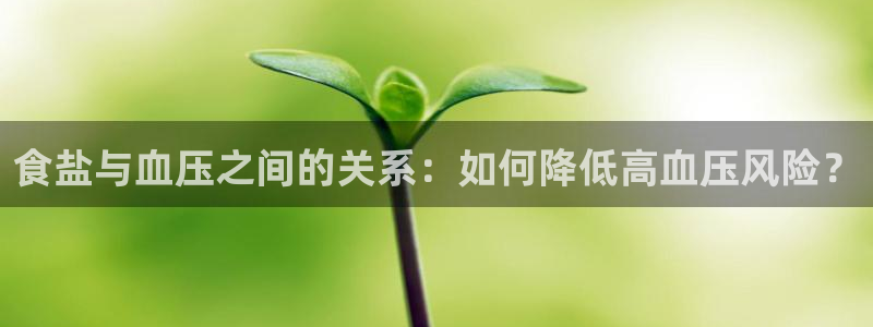 威九国际宣传片