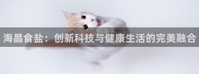 威九国际app入口官网