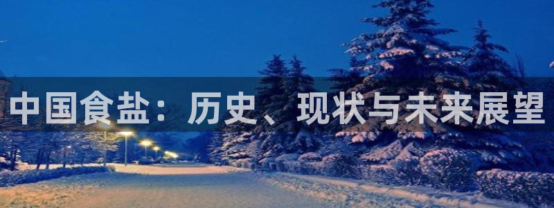 威九国际app无法登陆怎么回事