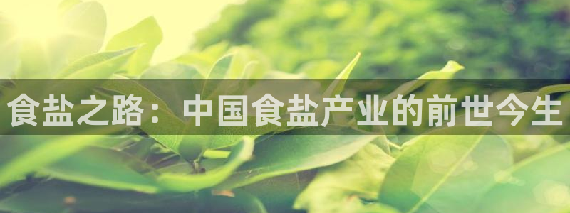 威九国际精彩推荐