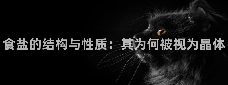 威九国际男演员