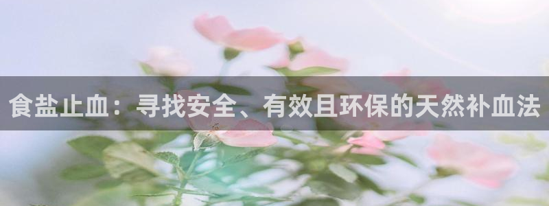 威九国际ppt官网