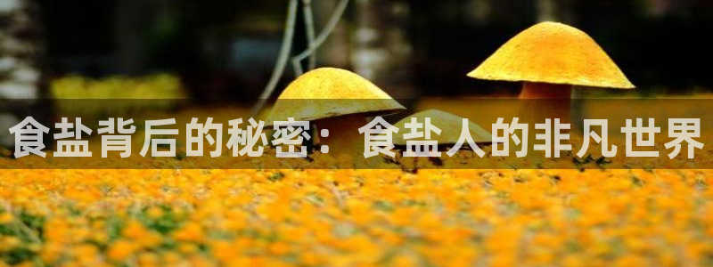 威九国际演员名单