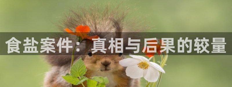 威九国际旗下艺人有谁