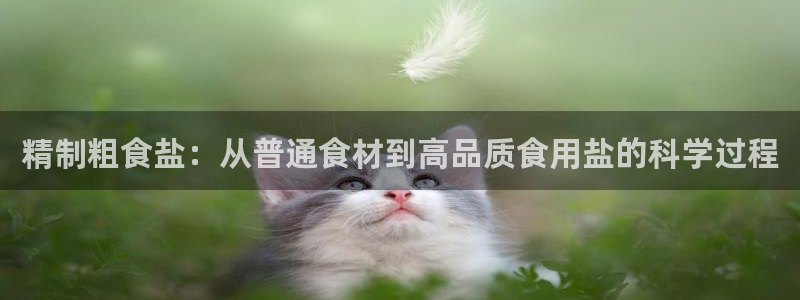 威九国际ppt免费