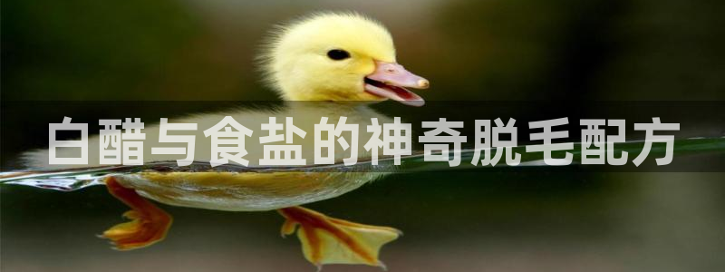 威九国际入口一