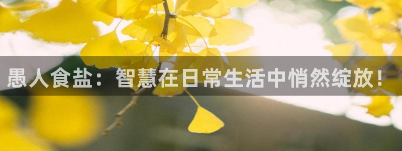 威九国际app哪个地方