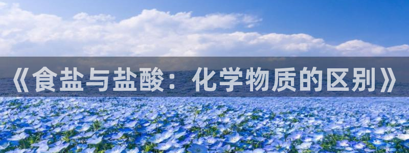 威九国际app网站