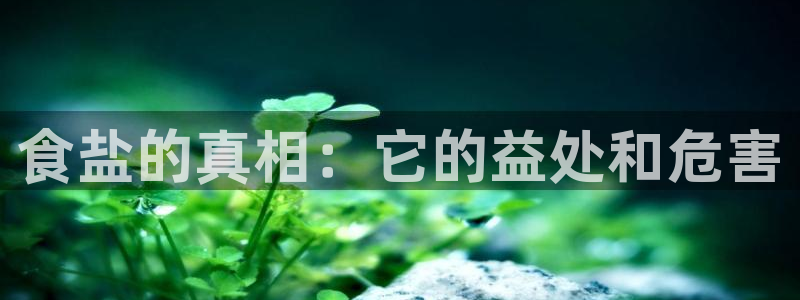 威九国际APP那个地方