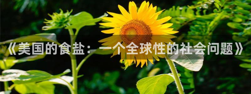 威九国际的演员