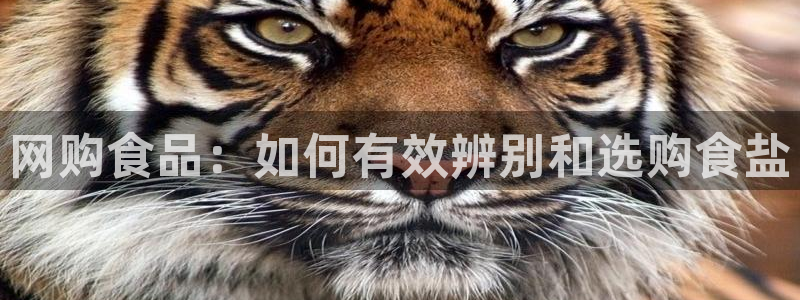 威九国际电影HD