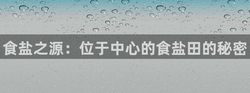威九国际客服电话号码