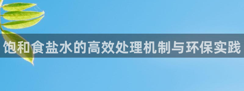 威九国际66m66大陆