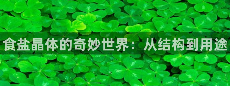 威九国际app入口在哪