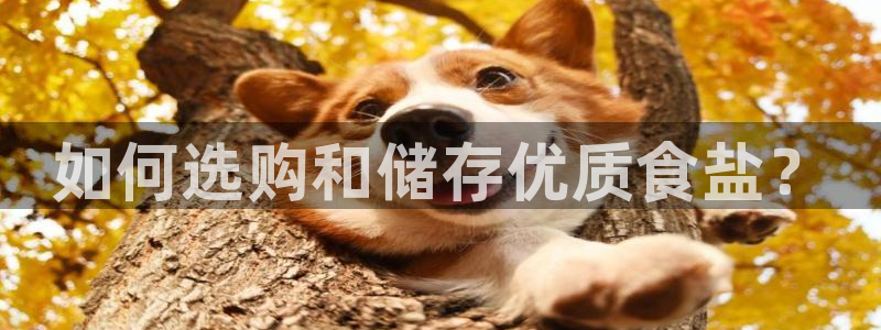 威九国际和之前