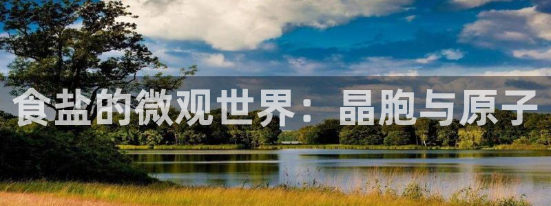 威九国际新人白发