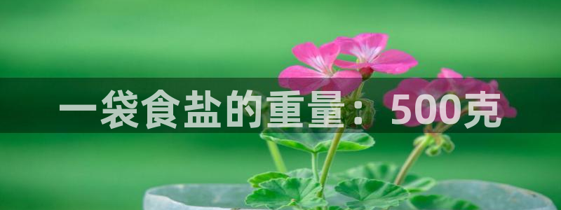 威九国际最新网站：一袋食盐的重量：500克