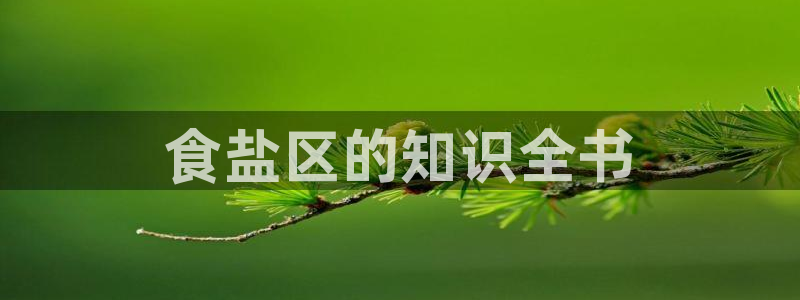 威九国际官方入口官网