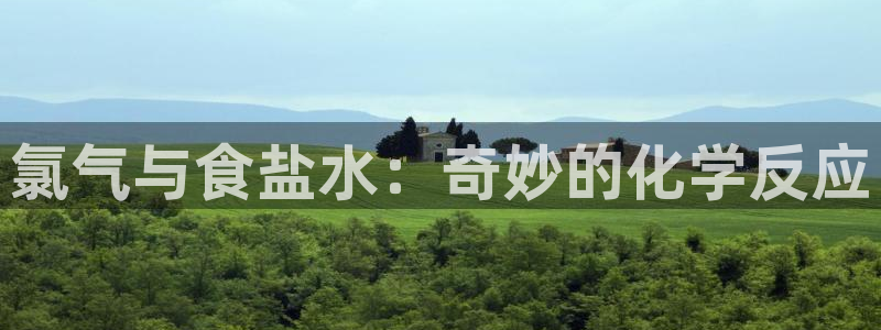 威九国际合作伙伴有哪些：氯气与食盐水：奇妙的化学反应