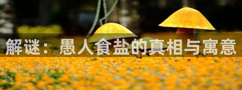 威九国际网站入口地址查询