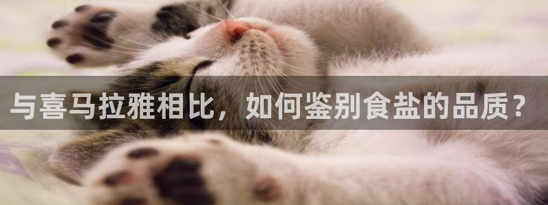 威九国际网站客服电话多少啊