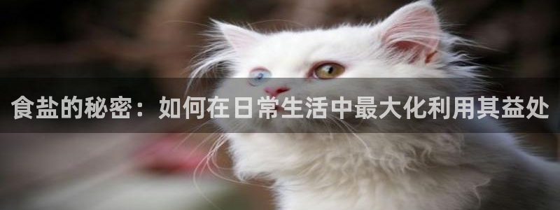 威九国际电影HD